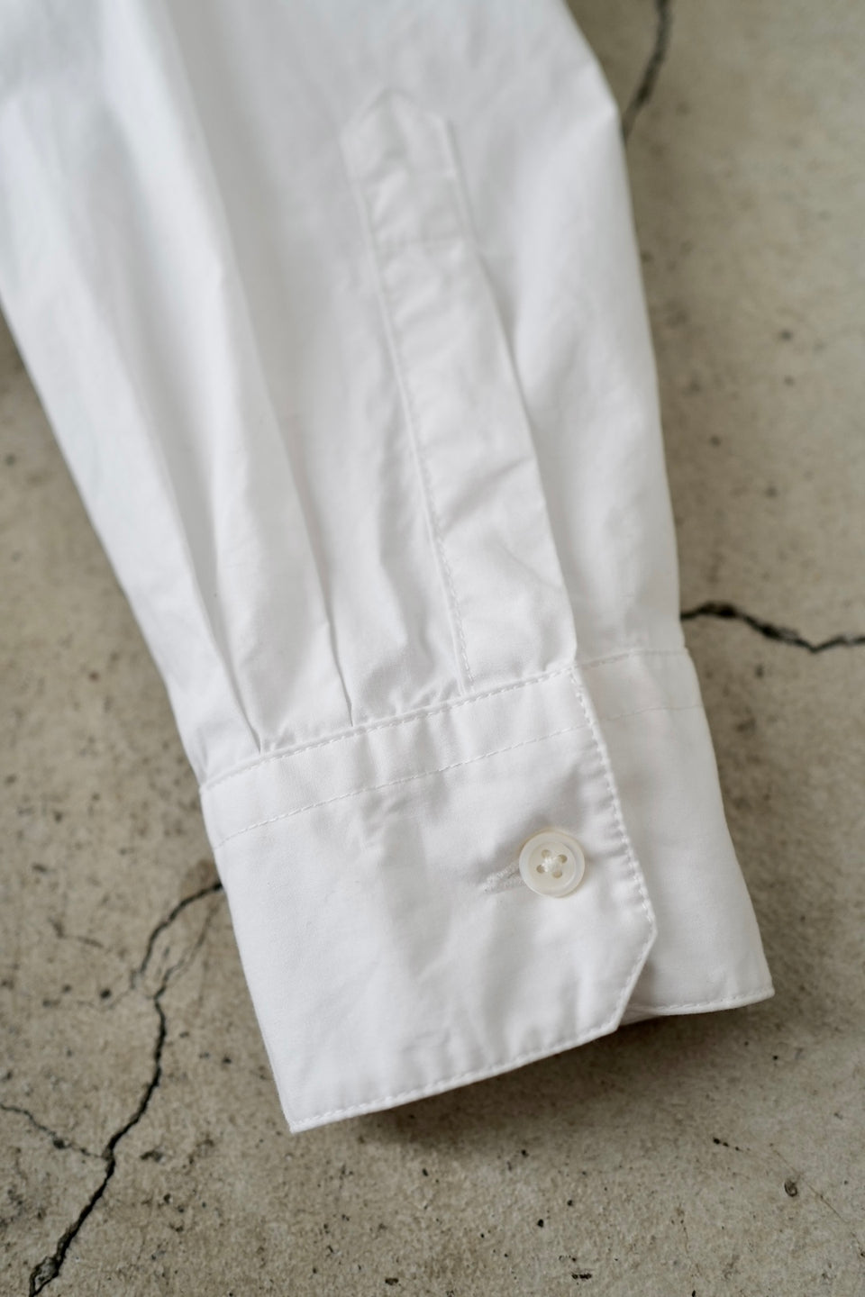 WINGS BAND Cotton Poplin