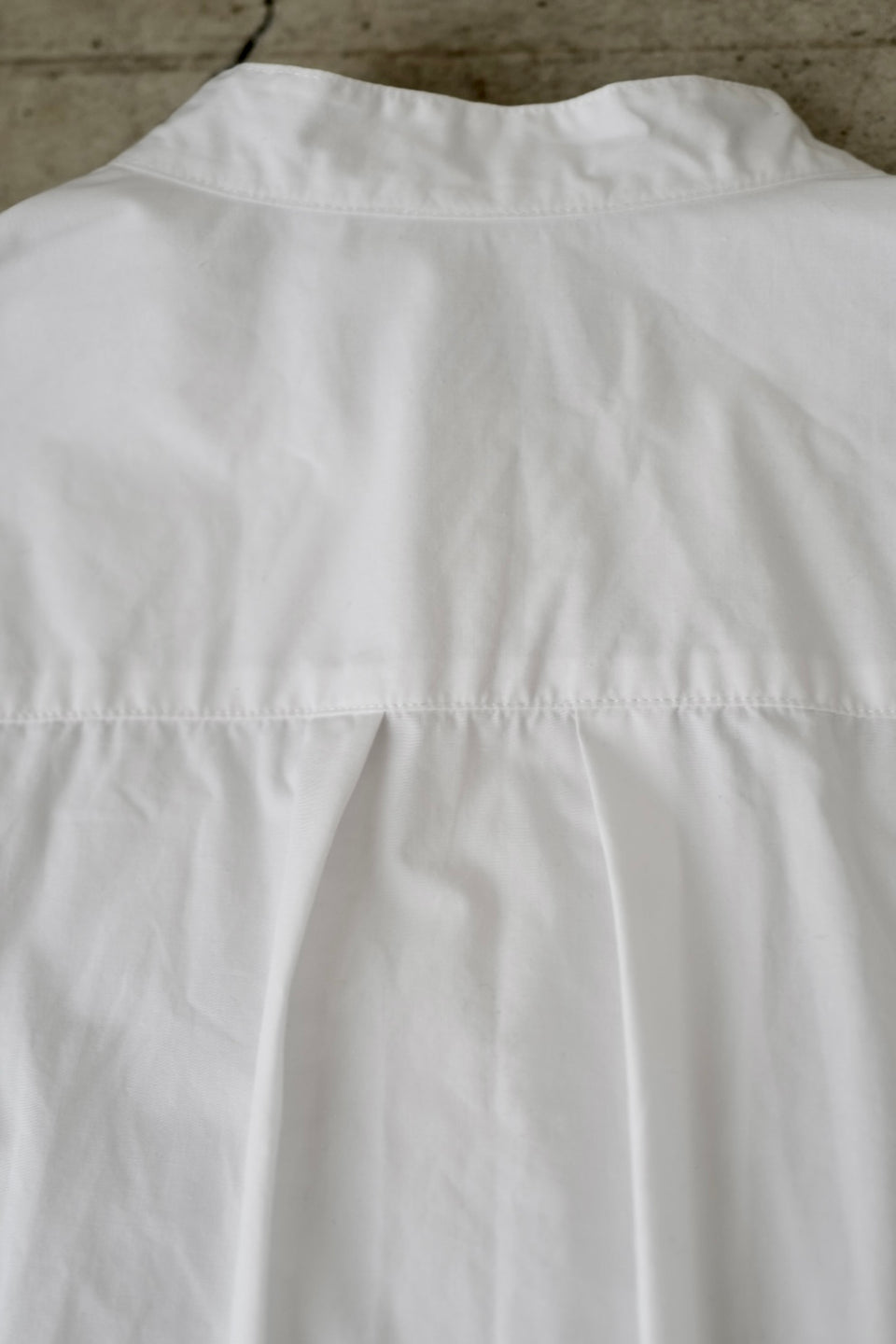 WINGS BAND Cotton Poplin