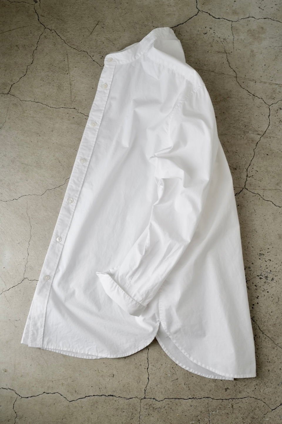 WINGS BAND Cotton Poplin