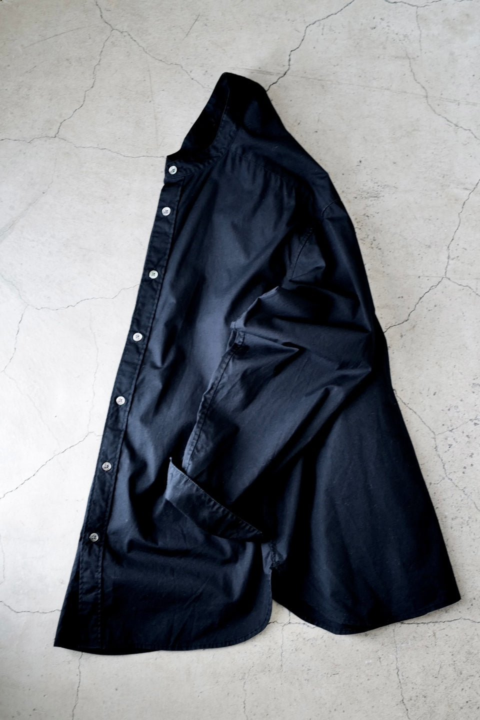 WINGS BAND Cotton Poplin